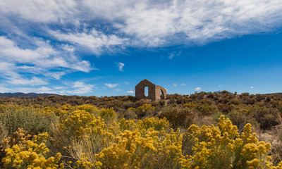 Palmetto ghost town structure in field of sagebrush and wildflowers