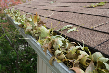 leaf filled gutter