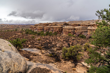View of Elephant Canyon from the Confluence Trail. Needle District, Canyonlands National Park, Utah