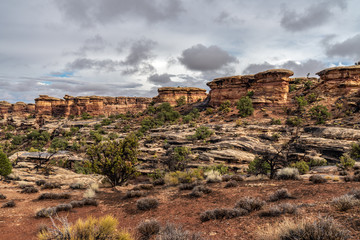 Fototapeta premium View of Elephant Canyon from the Confluence Trail. Needle District, Canyonlands National Park, Utah