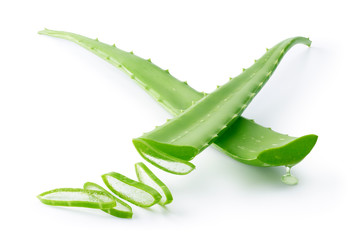 Aloe Vera isolated on white background - clipping path included