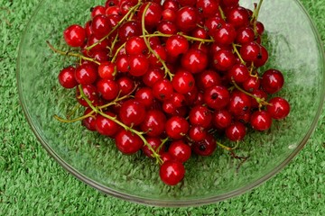 Красная смородина на фоне зеленного газона