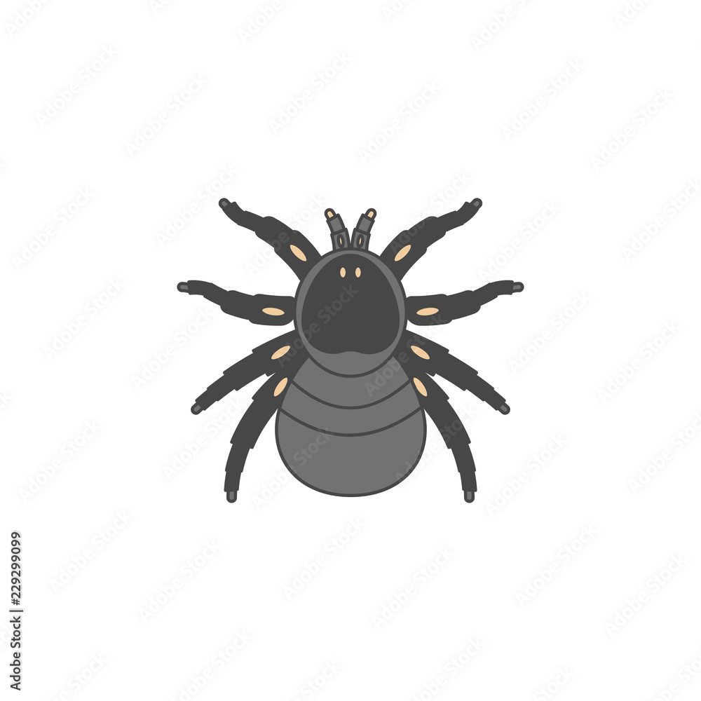 Poster spider colored outline icon. one of the collection icons for websites, web design, mobile app