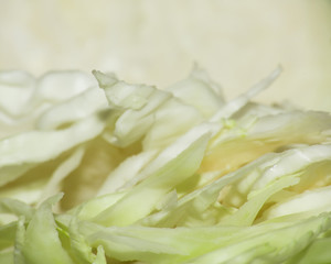 Chopped cabbage slices background, soft focus