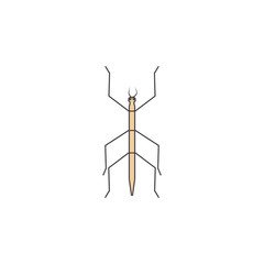 insect stick colored outline icon. One of the collection icons for websites, web design, mobile app
