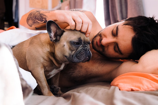 A caucasian man and a brown french bulldog cuddling together in bed