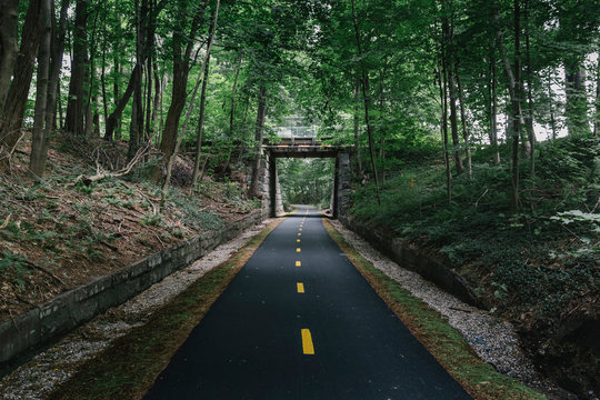 Bike Path Through Dark Woods