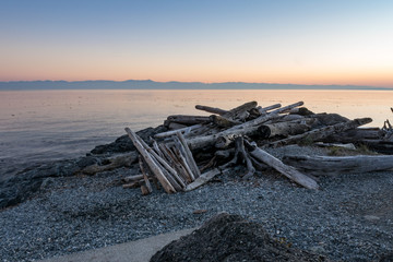 piles of drift woods at beach facing the ocean at sunset