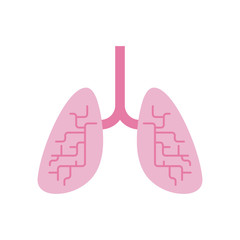 Lungs isolated. Internal organs Human anatomy. vector illustration