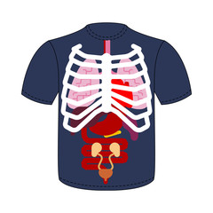 T-shirt Internal organs and Rib cage. Human anatomy. Systems of man body and organs. medical systems. Lungs and Heart. Liver and Stomach. vector illustration
