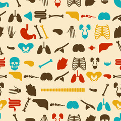 Human anatomy pattern seamless. Skeleton and Internal organs background. Systems of man body and organs ornament. medical systems texture. vector illustration