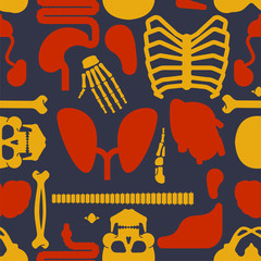 Human anatomy pattern seamless. Skeleton and Internal organs background. Systems of man body and organs ornament. medical systems texture. vector illustration