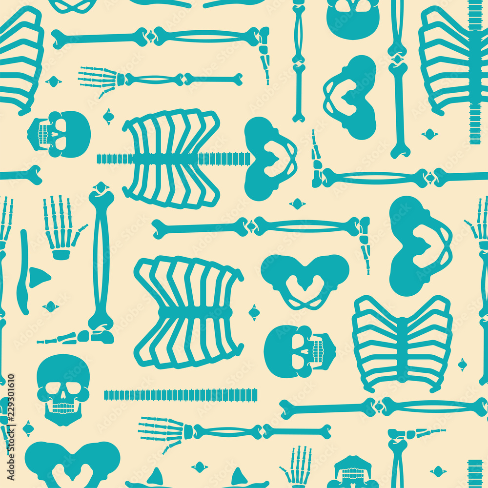 Poster skeleton anatomy human pattern seamless. skeletal system cross section backgrund. bones and skull. r