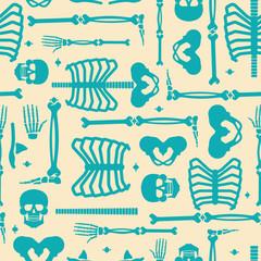 Skeleton anatomy human pattern seamless. Skeletal system cross section backgrund. Bones and skull. Ribs and pelvic bone. vector ornament