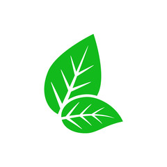 leaf icon