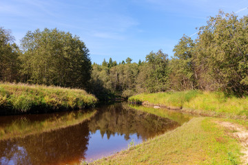 Fototapeta na wymiar small river in early autumn