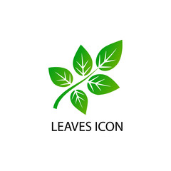 leaves icon