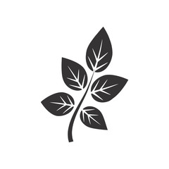 leaves icon and symbol