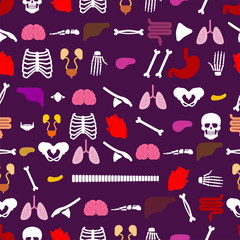 Human anatomy pattern seamless. Skeleton and Internal organs background. Systems of man body and organs ornament. medical systems texture. vector illustration