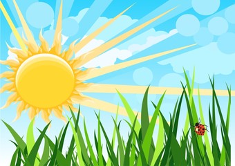 Sunny natural  funny cartoon background vector illustration, green grass, ladybug © Massaget