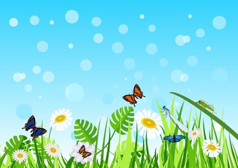 Fototapeta na wymiar Funny sunny summer grassland with insects vector background