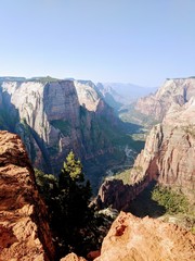 Zion angels landing