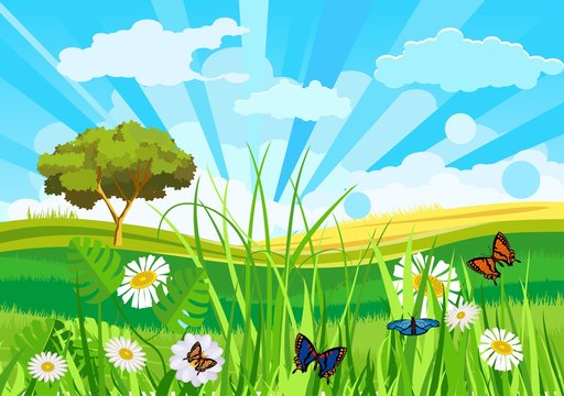 Summer meadow funny background vector illustration, green grass, butterflies, ladybug