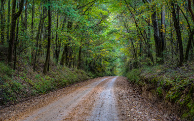 country dirt road