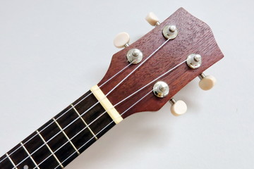 ukulele neck and head on the white background