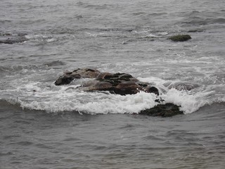 Fototapeta premium Meer