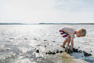 Treasure Hunt in the Mud Flats