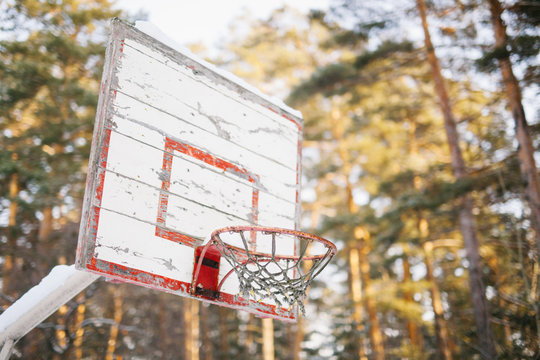basketball ring covered with snow in the forest