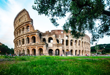 Fototapeta na wymiar The Colosseum is an oval amphitheatre in the centre of the city of Rome, Italy