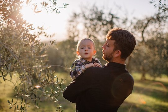 Father holding his son on arms in sunset olive garden