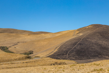 Fototapeta na wymiar Parched Californian Landscape, with evidence of Fire Damage on a hill