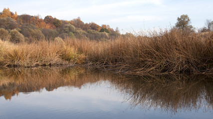 Сельский пейзаж. Небольшой пруд и пожелтевшие кусты вокруг