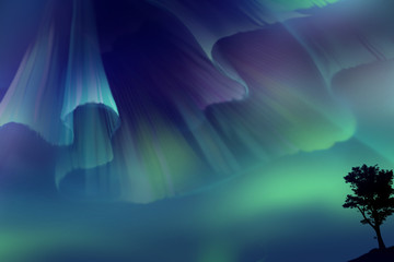 Fototapeta premium 北欧のオーロラ aurora illustration