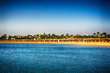 beach in the egypt