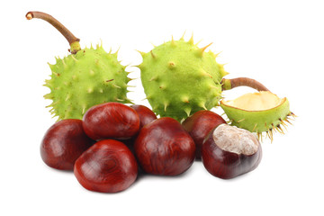 chestnuts isolated on white background. Healthy background.