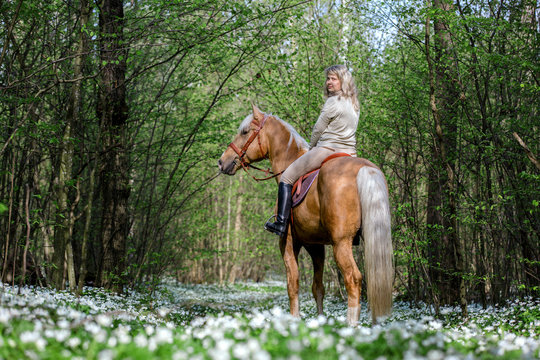 Young lady riding a horse outdoors.