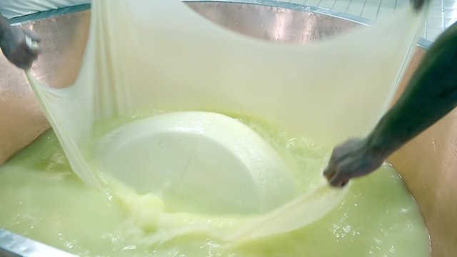 CASEIFICIO LAVORAZIONE PARMIGIANO REGGIANO