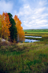 On the border between the forest and the floodplain of a dried-up river