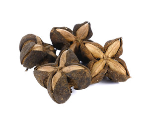 sacha inchi peanut seed on white background