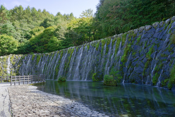 Obraz premium 山中湖花の都公園 明神の滝