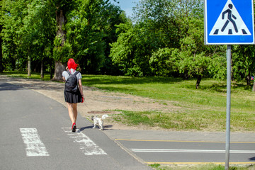 Girl with a dog walking on the road in the Park 
