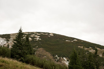 Zamostska hola hill in autumn Nizke Tatry mountains in Slovakia © honza28683