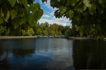 outdoor park natural landscape design place for walking with lake water surface and small bridge,...