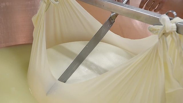 CASEIFICIO LAVORAZIONE PARMIGIANO REGGIANO