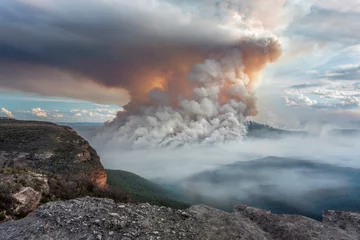 Mount Solitary Buschfeuer Blue Mountains © Leah-Anne Thompson