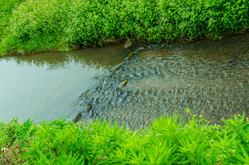 復元された花巻城跡